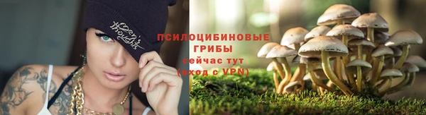 гидра Алексеевка