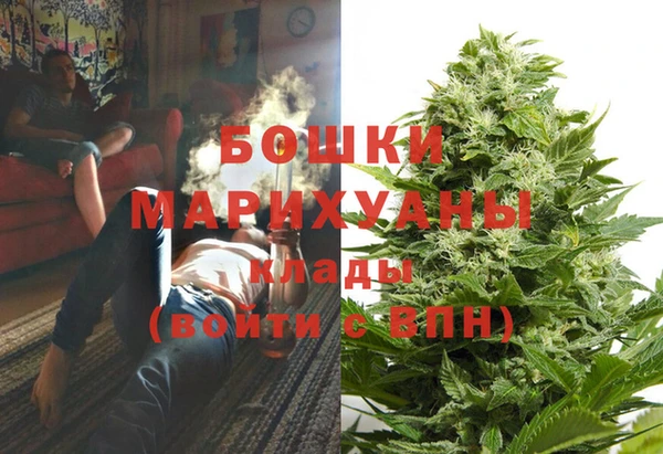 spice Губаха