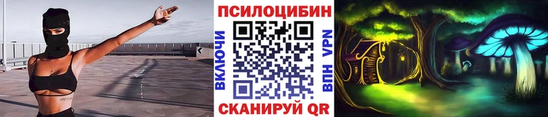 Псилоцибиновые грибы мухоморы  купить наркоту  Оханск 